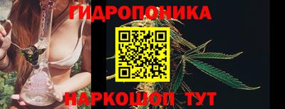 тгк Новозыбков