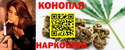 тгк Новозыбков