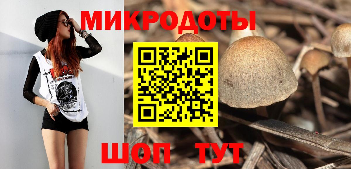 Галлюциногенные грибы Cubensis  дарнет шоп  Новозыбков  Вход с VPN  Псилоцибиновые грибы ЛСД 