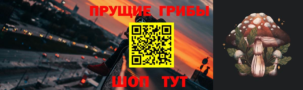 Галлюциногенные грибы прущие грибы Новозыбков
