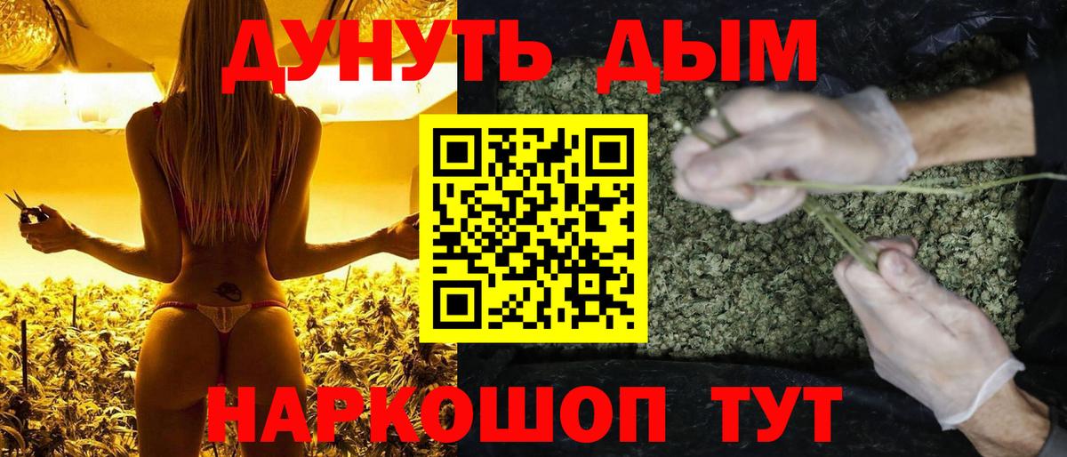 Каннабис семена  Вход с VPN  Бошки марихуана семена  Новозыбков 